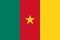 Cameroon flag