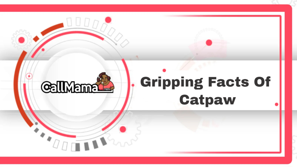 Gripping Facts Of Catpaw-call mama