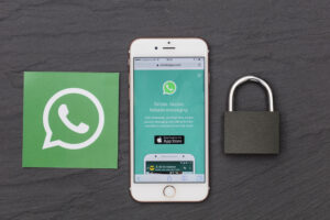 how to use whatsapp for business