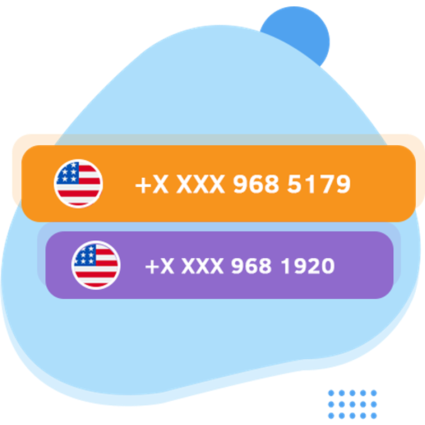 USA Area Code