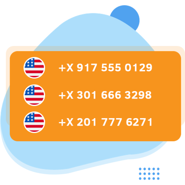 USA Local Area Code