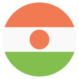 флаг-для-нигера-svgrepo-com