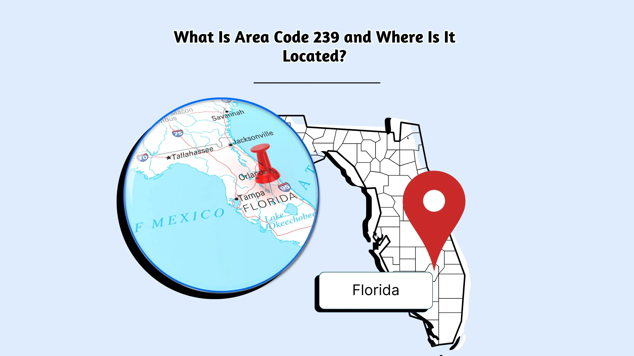 What Is Area Code 239 and Where Is It Located